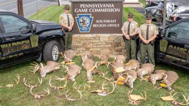 'Thrill kills:' Juveniles plead guilty in Cambria County deer poaching case, PAGC says