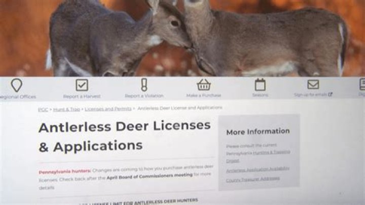 'We're going to do better:' PA Game Commission testifies about issues with new online deer license system