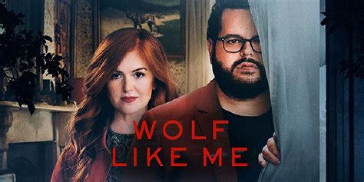 'Wolf Like Me' Ending Explained: A New Family Forged After a Bloody Finale
