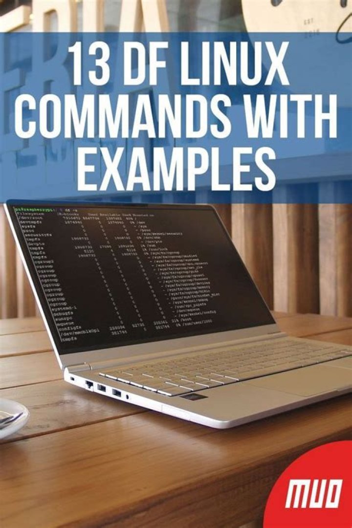 13 df Linux Commands With Examples