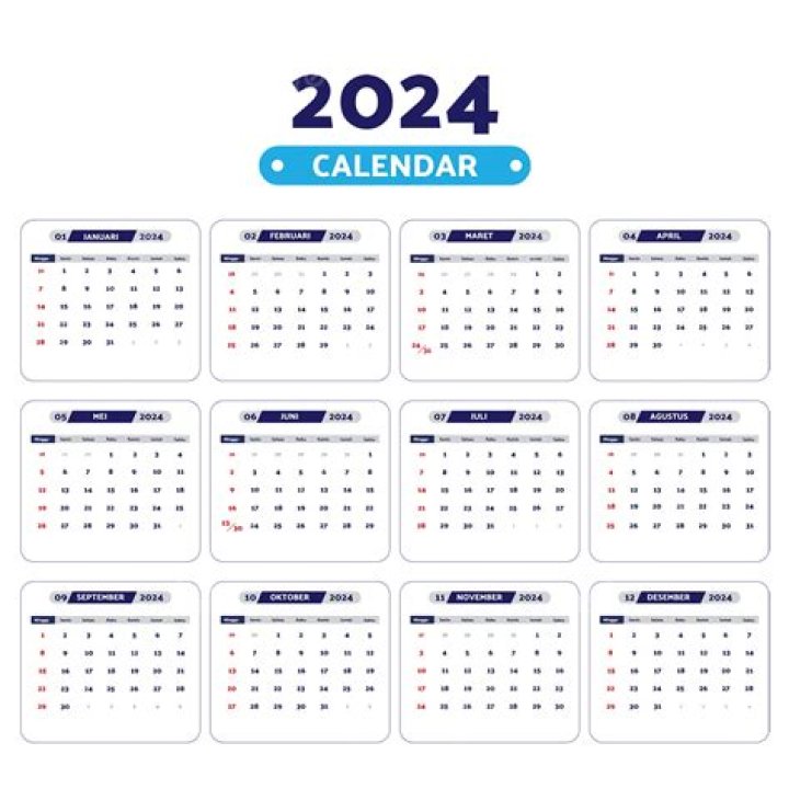 外交部举行2024年新年招待会-新华网