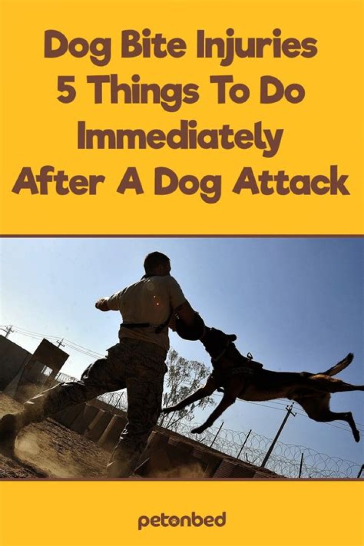 4 Things To Do After Beating Watch Dogs Legion