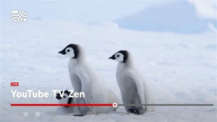 4 Ways to Fix Seeing Ads on YouTube Premium
