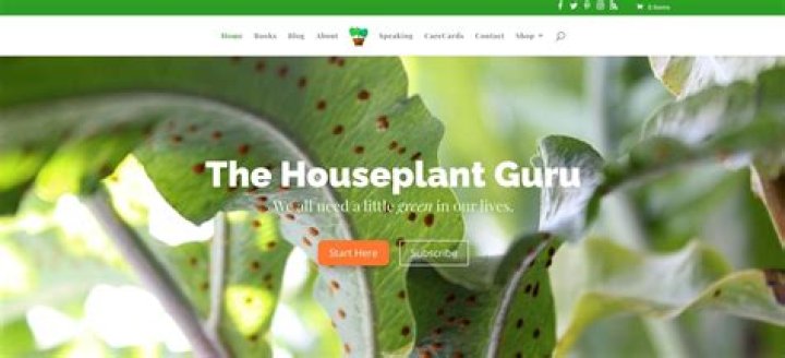 5 Sites That Can Help You With Houseplant Care