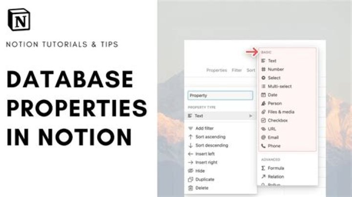 A Beginner's Guide to Using Database Properties in Notion