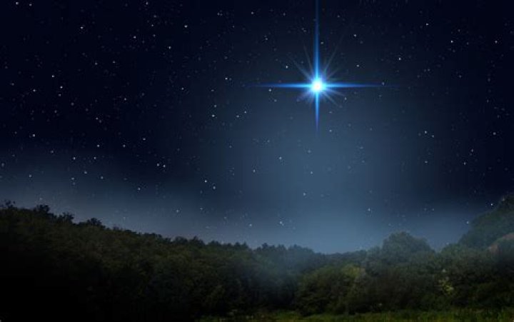 A Journey Through The Life Of Ana Lucia Dominguez: A Star Shining Bright