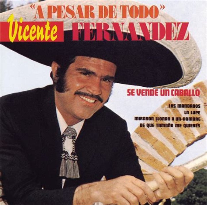 A Pesar De Todo Letras - A Pesar De Todo Traducciones
