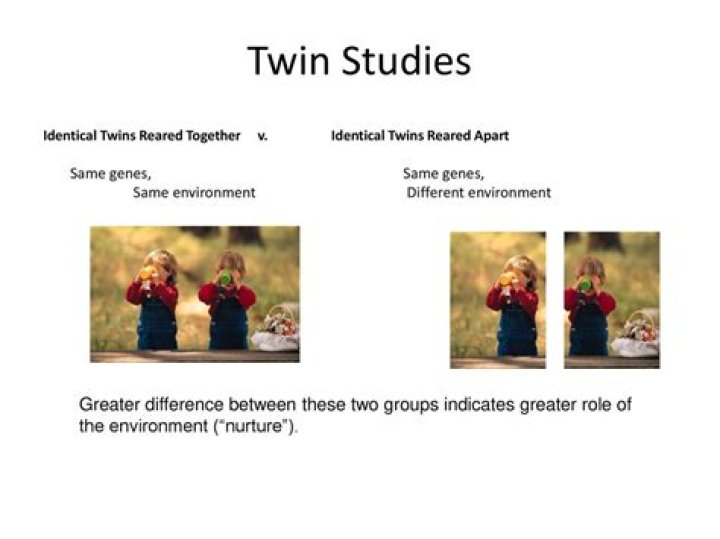 A Twin Experiment Results & Reddit