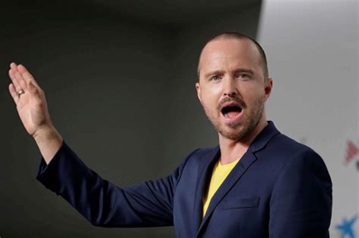 Aaron Paul Vermögen
