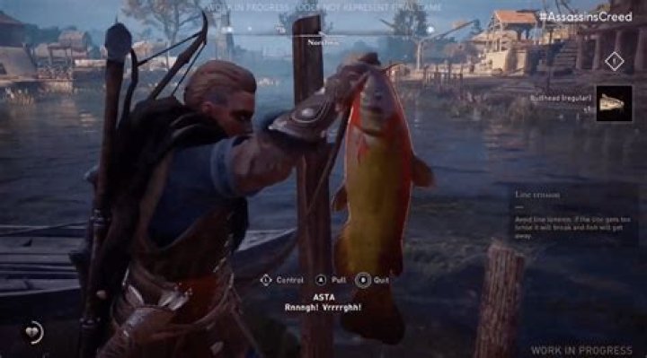 AC Valhalla Fishing Guide