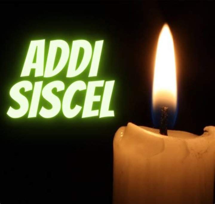 Addi Siscel: Wiki, Bio, Age, Accident, Death, Net Worth, Pregnant