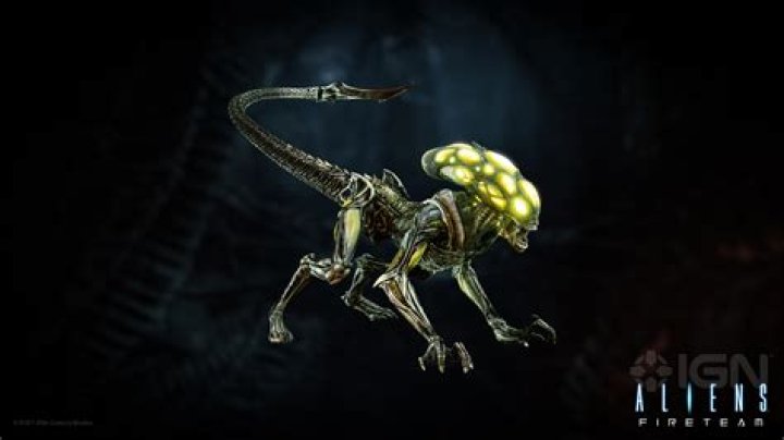 Aliens: Fireteam Elite Alien Types