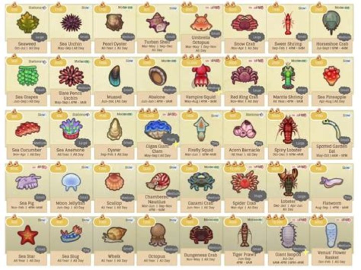 All Sea Creatures in Animal Crossing New Horizons