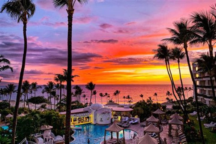 	And the best place to see a sunset in Broward County is…	