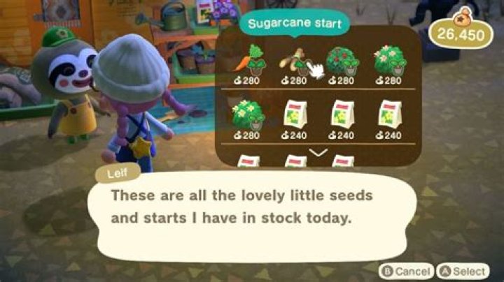Animal Crossing: How to Get Sugarcane & Sugar in New Horizons