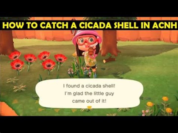Animal Crossing New Horizons Cicada Shell: How to Catch, Location, Sell Price