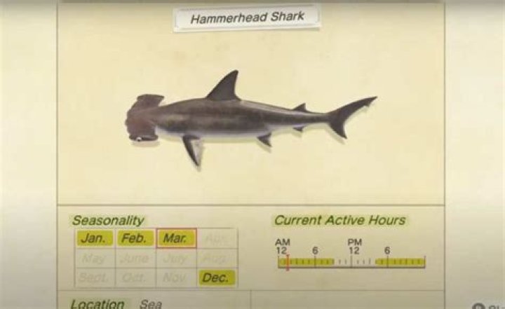Animal Crossing New Horizons Hammerhead Shark: How to Catch, Location, Sell Price