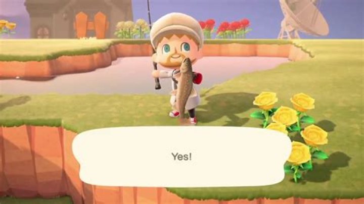 Animal Crossing New Horizons: How to Get Char