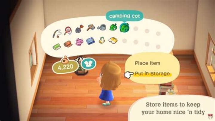 Animal Crossing New Horizons: How to Store Items in House Storage