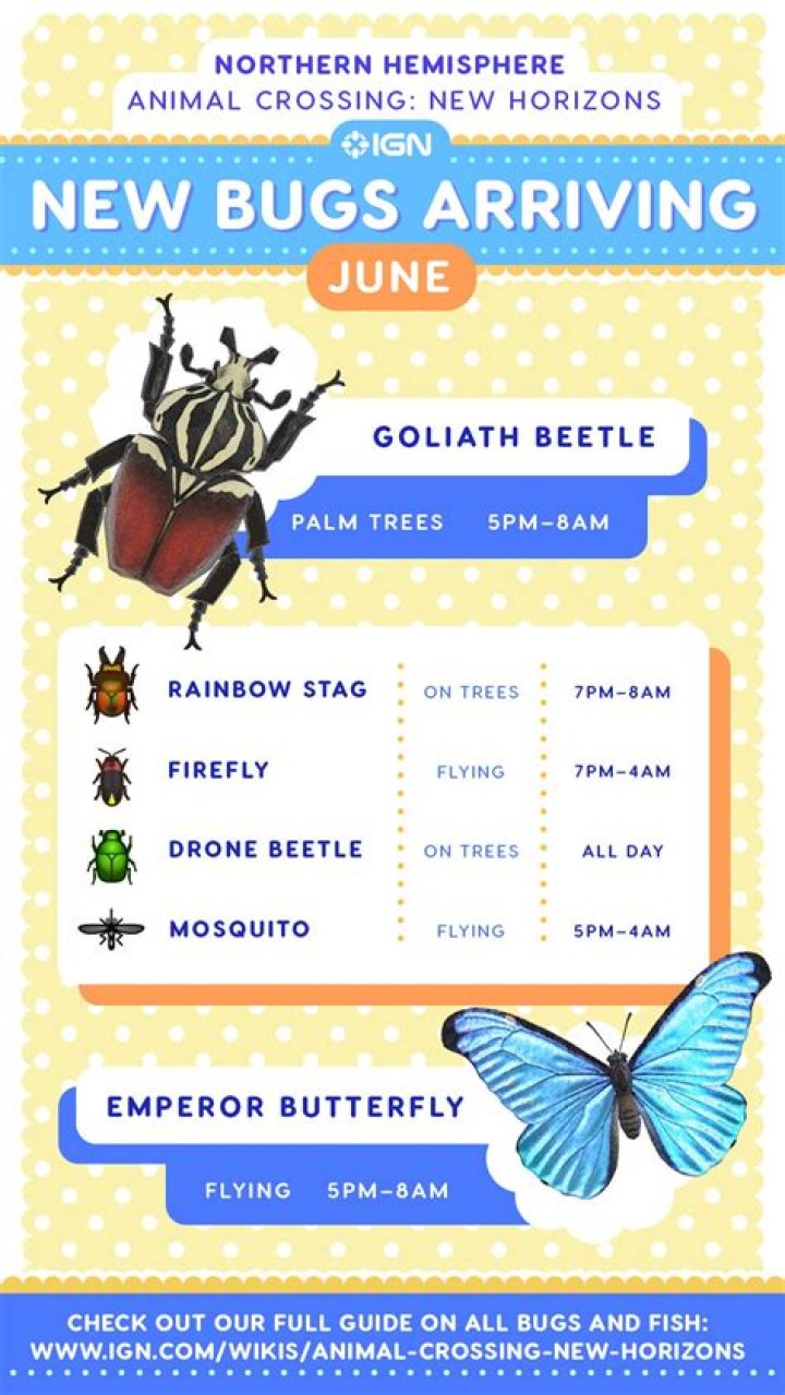 Animal Crossing New Horizons June Bugs