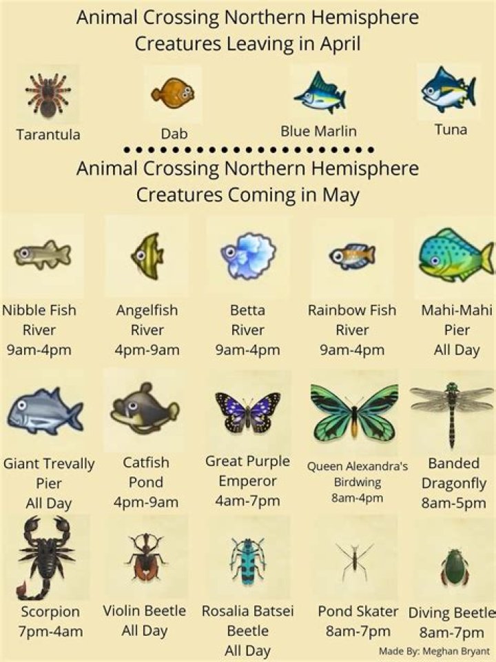 Animal Crossing: New Horizons May Fish