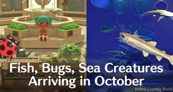Animal Crossing: New Horizons new fish and bugs to catch in October