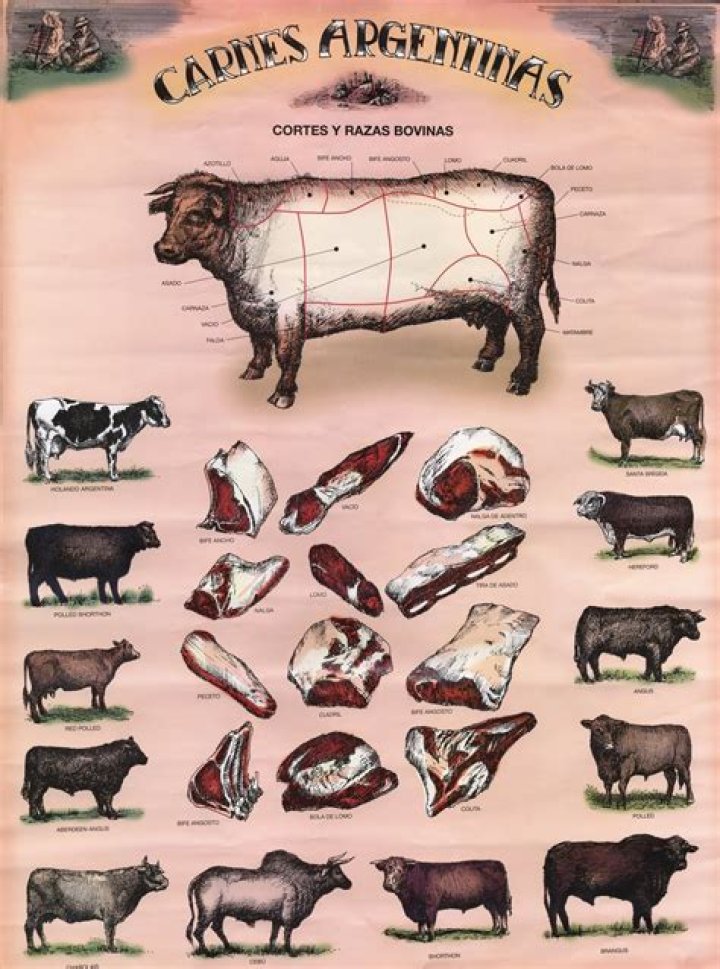 	Argentine cuts	
