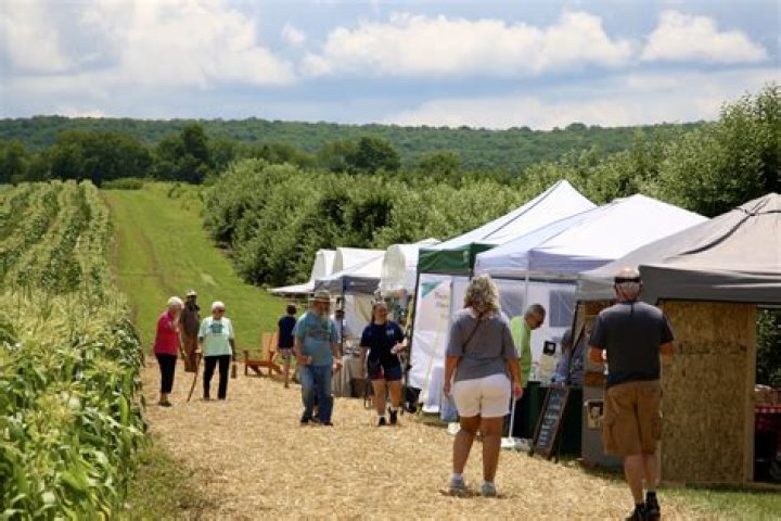 Art in the Orchard Back at Way Fruit Farm Despite the Returns of Artsfest