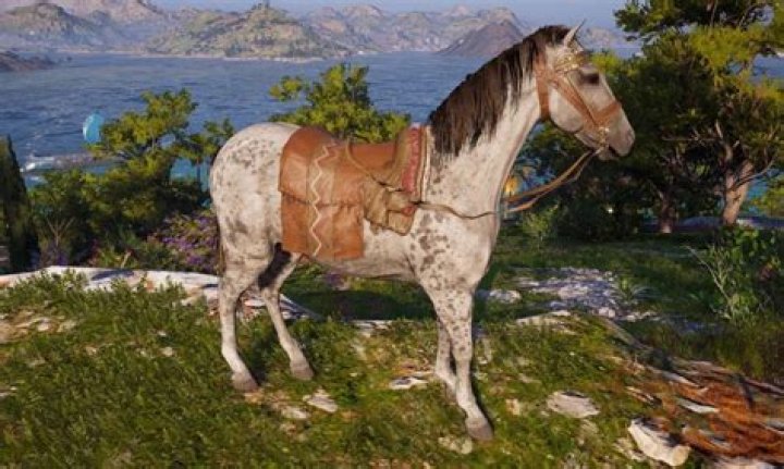 Assassin’s Creed Odyssey: Which Horse to Pick