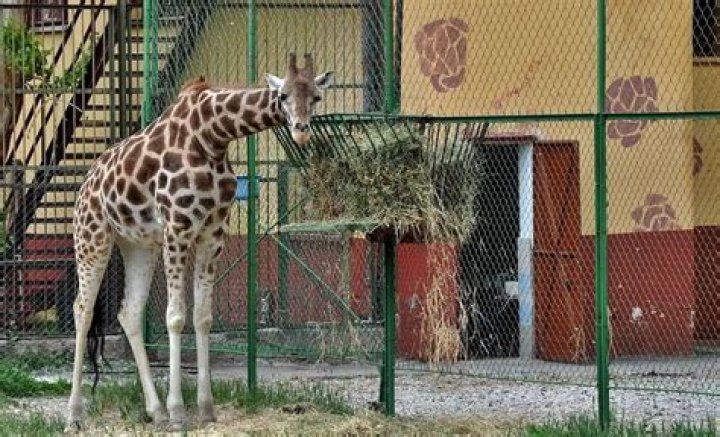 Atatürk Forest Farm and Zoo