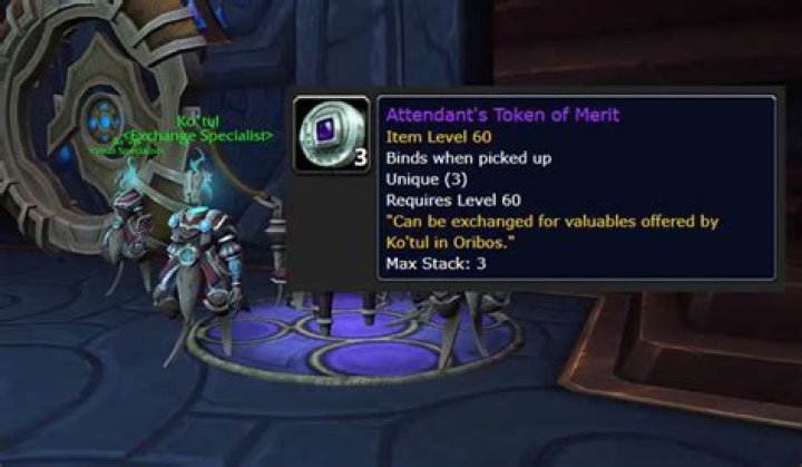 Attendants Token of Merit WoW: How to Get
