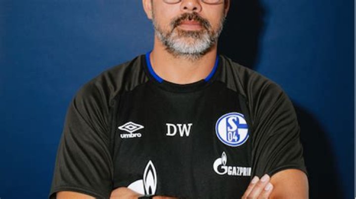 „Auf Schalke muss sich jeder wieder trauen, Fehler zu… – 11FREUNDE