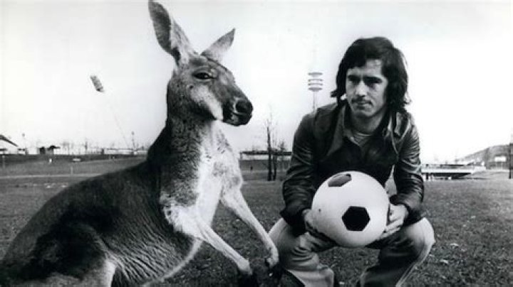 Aus was? Australien! – 11FREUNDE