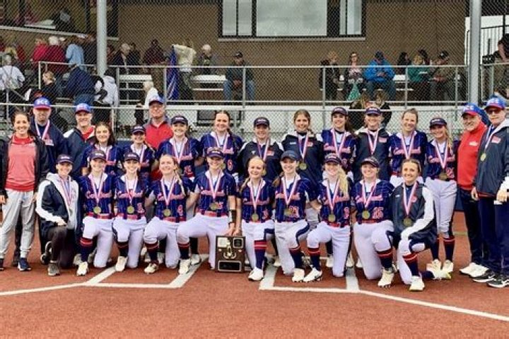 Bald Eagle Area, DuBois Central Catholic softball finish season as state runners up