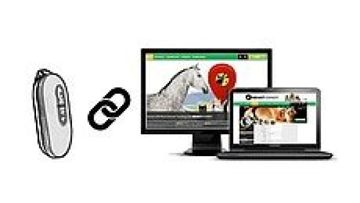 beasttracker.dog login safely, analysis & comments
