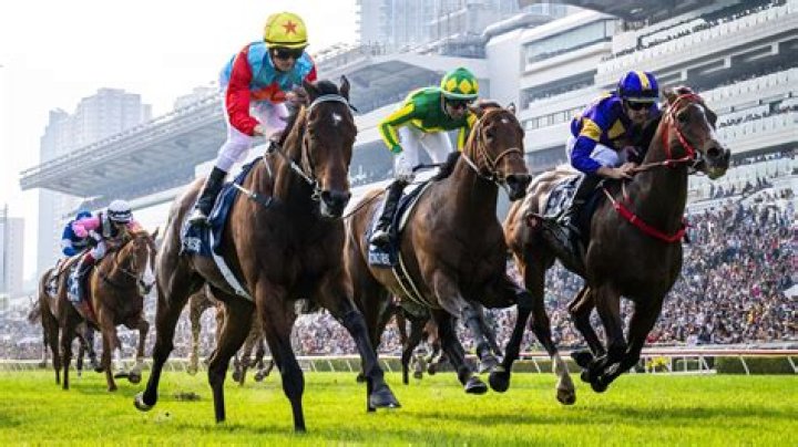 BEAUTY NOVA (G232) 美麗新星 | Horses | HK Racing