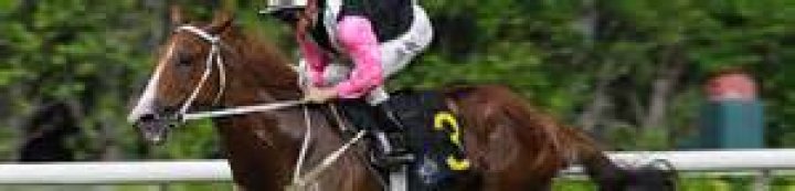 BEAUTY WAVES (H294) 美麗第一 | Horses | HK Racing