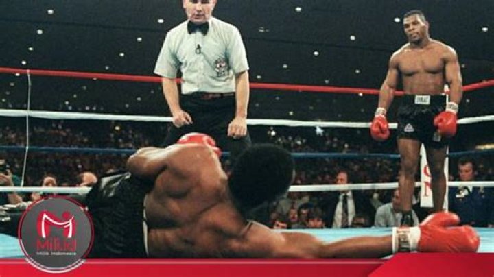 	BERBICK LOOKS PAST BOYD TO A REMATCH WITH TYSON	