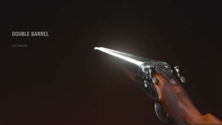 Best Double Barrel Weapon Loadout Warzone Pacific Season 1
