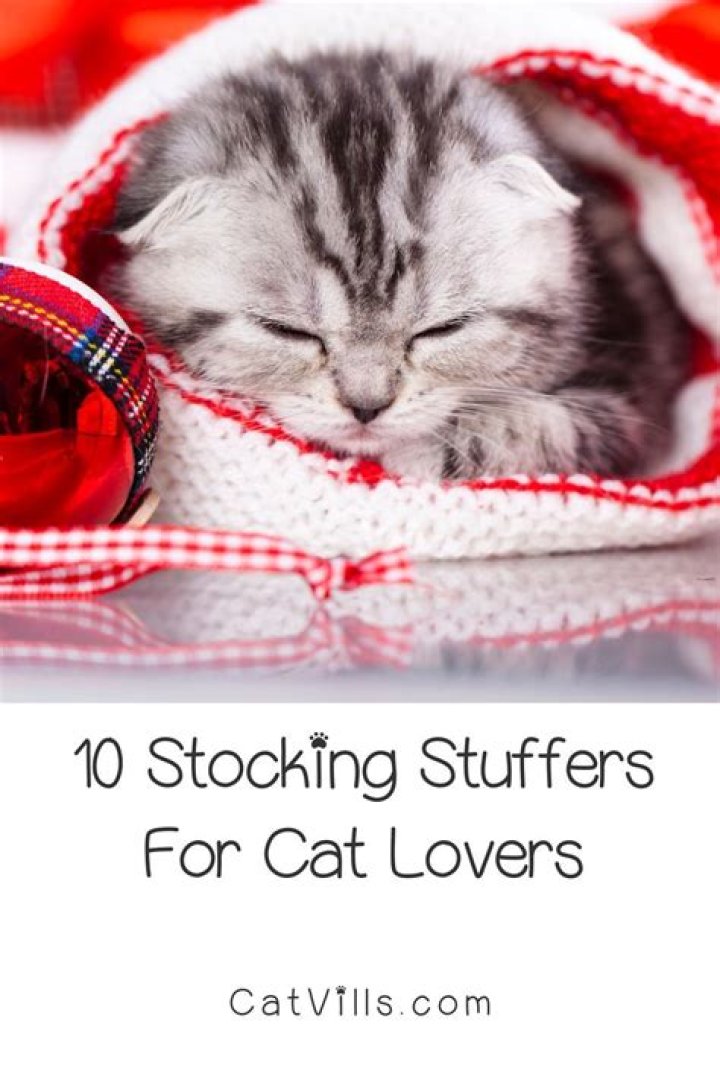 	Best stocking stuffers for cat lovers	