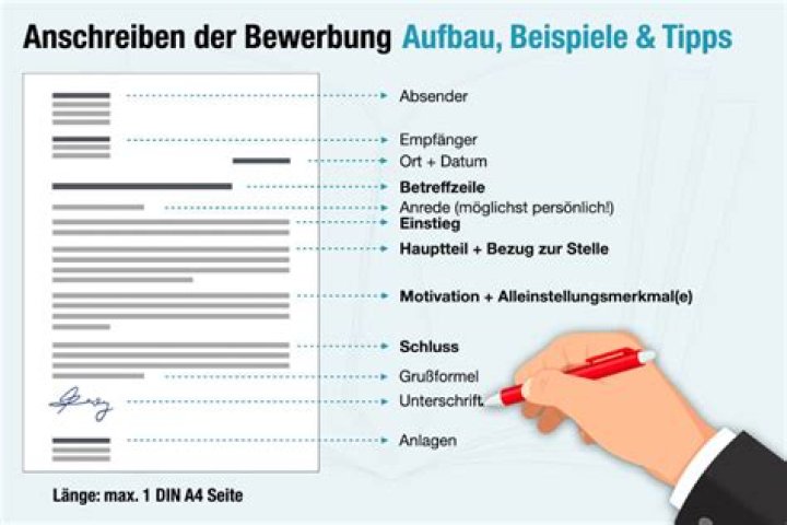 Bewerbung ist raus! - Wie Norwich City sechs Klubs… – 11FREUNDE