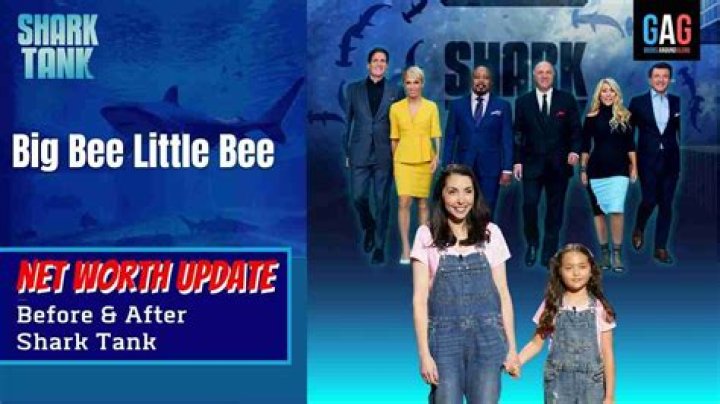Big Bee, Little Bee Shark Tank Net Worth 2024