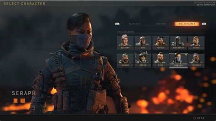 Black Ops 4 Blackout Beta: How to Change Character
