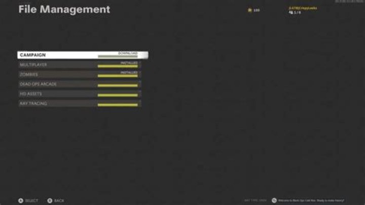 Black Ops Cold War: How to Delete Campaign, Multiplayer & Zombies Files