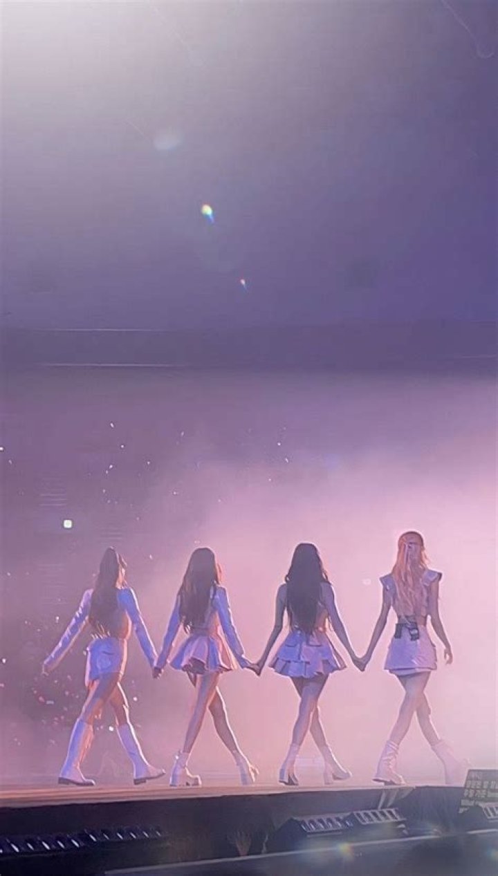 Blackpink Vermögen