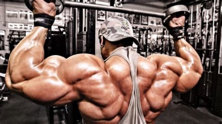 	BODYBUILDERS PRESENT STRONG FIELD	