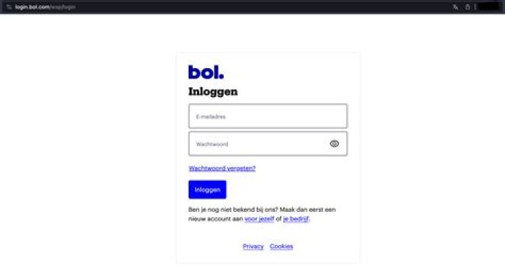 bol.com login safely, analysis & comments