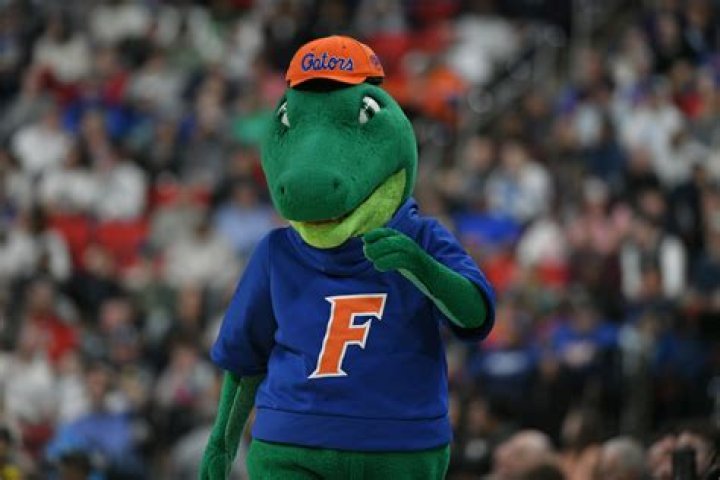 	BOSTIC FINDS HOLES, EARLY SUCCESS GATORS SCRAMBLE TO CONTAIN BACK	