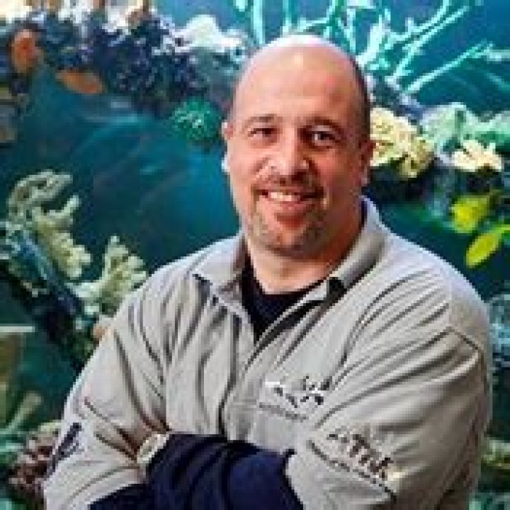 Brett Raymer Biography