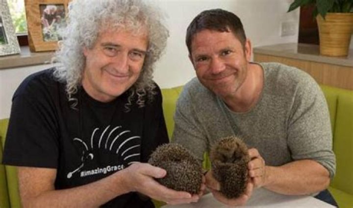 Brian May hedgehogs: Why Queen guitarist runs animal rescue from his Surrey garden